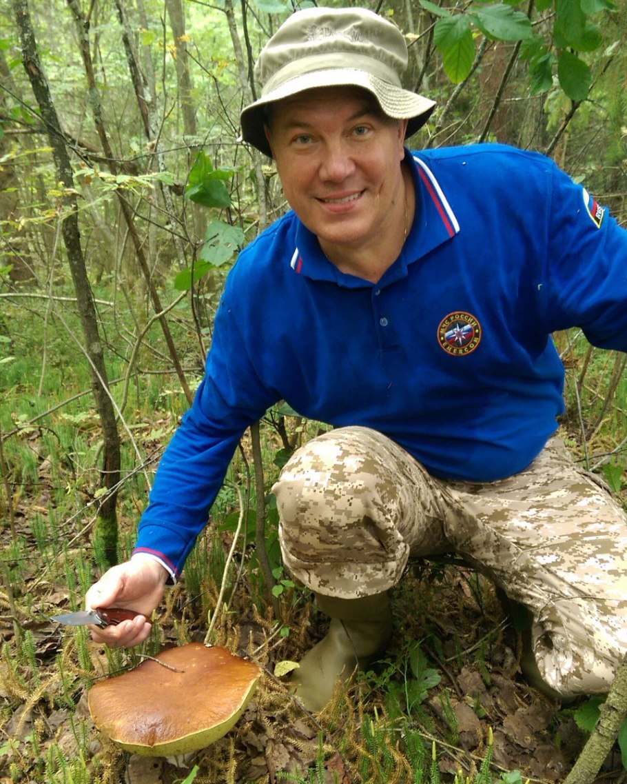 Гриб исполин