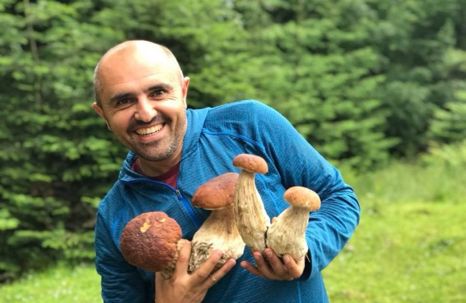 Гигантские грибы