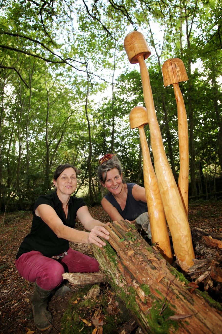 Корейские грибы гиганты