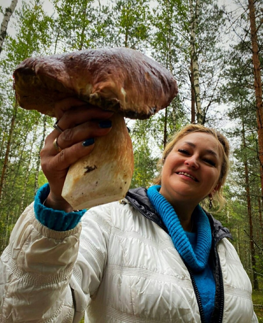 Грибники фото