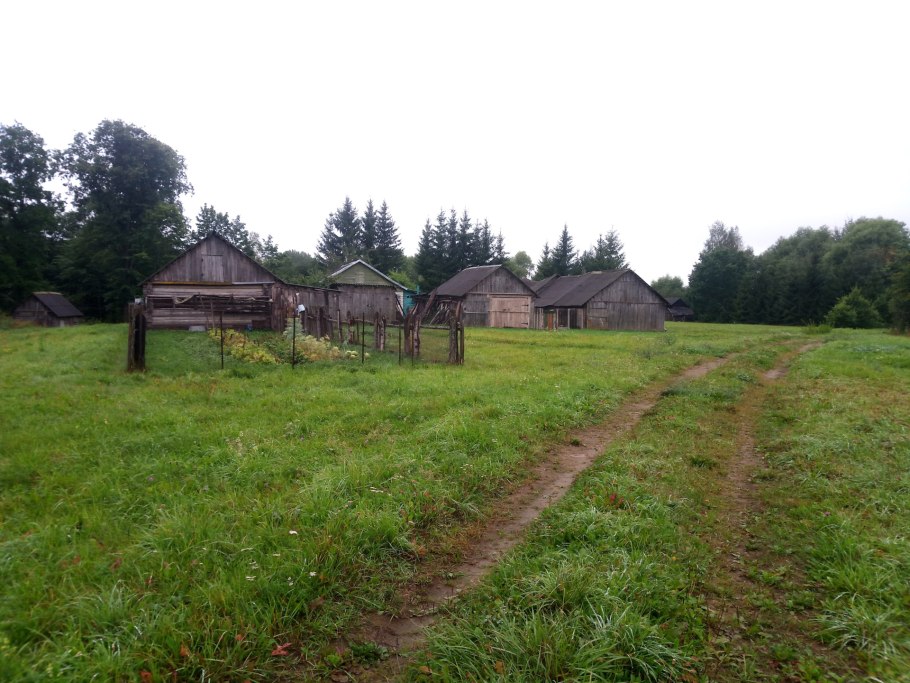 Псковская область, Порховский р-н, д. Пески Бороздины