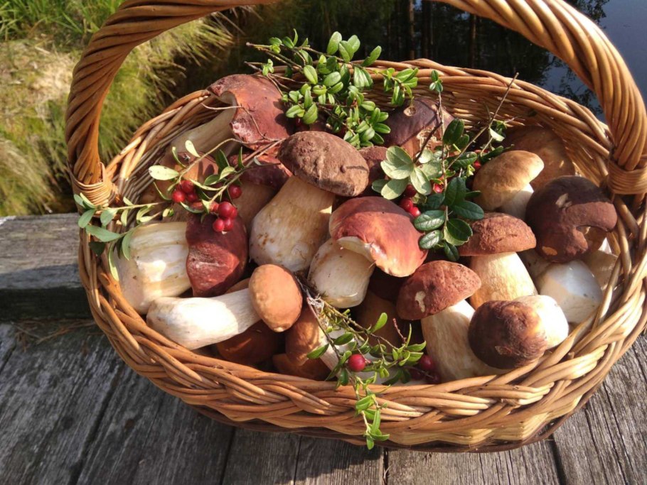 Боровики 2 коттеджный поселок