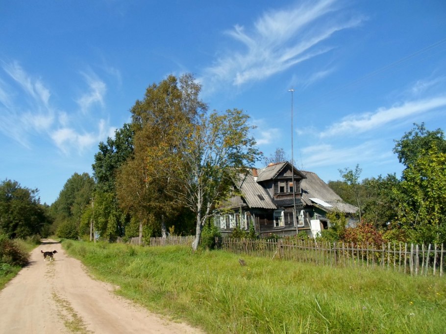 Деревня боровики Псковская область