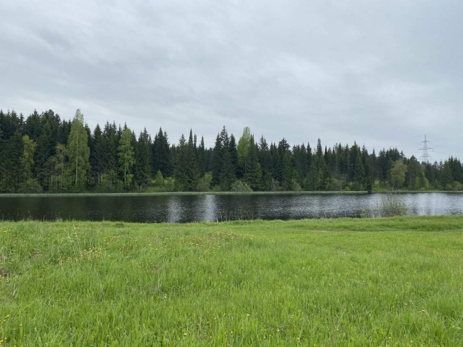 Деревня боровики беларусь