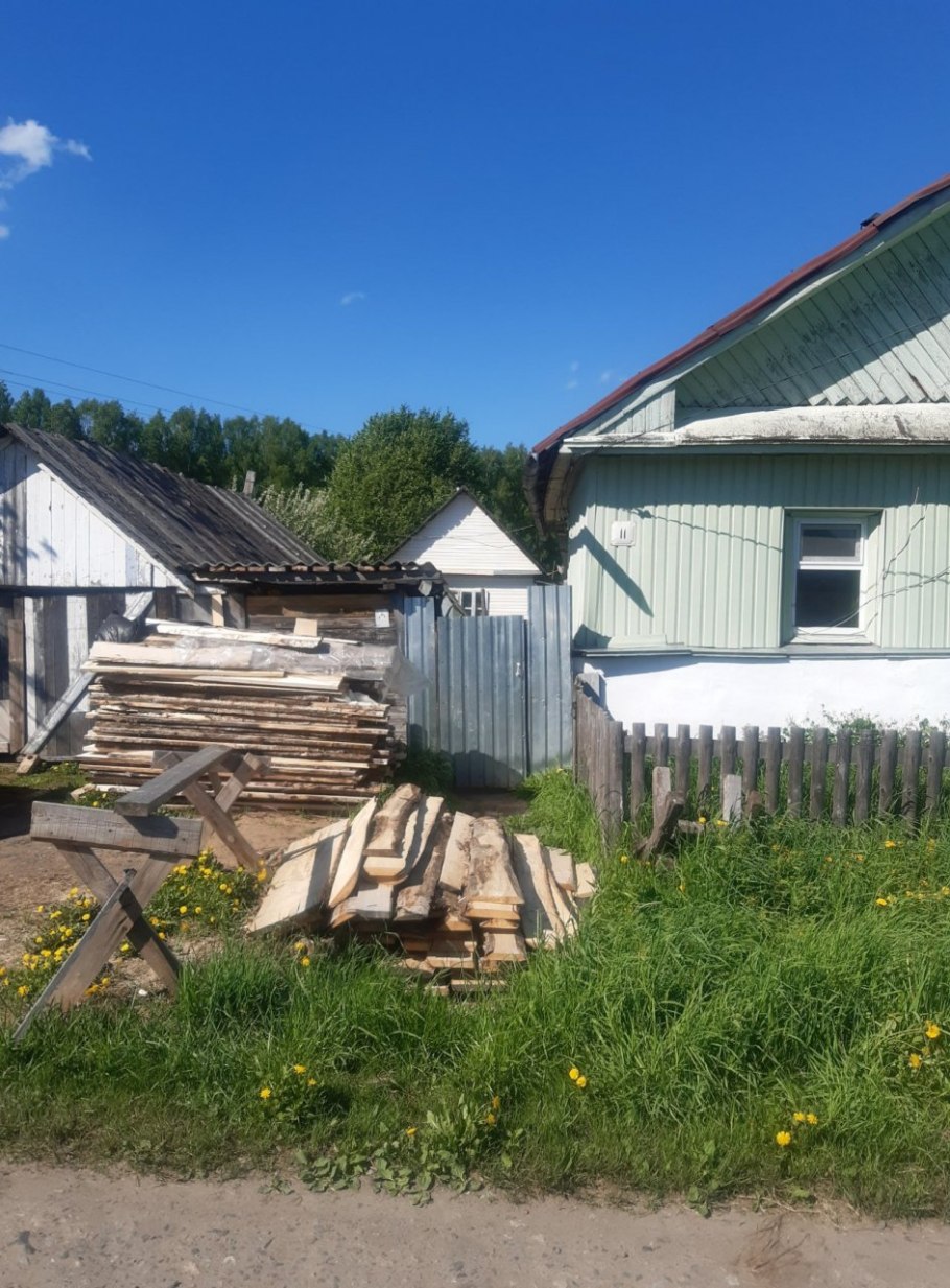 Боровик большой