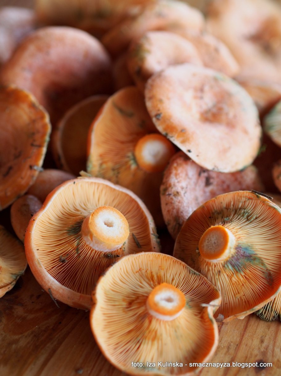 Рыжики грибы