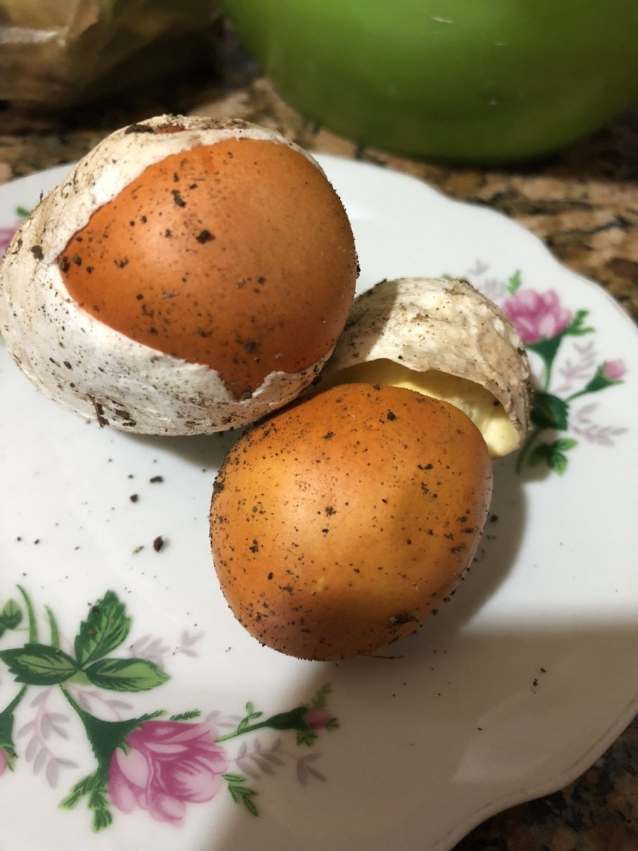 Цезарский гриб Дальневосточный Amanita caesareoides