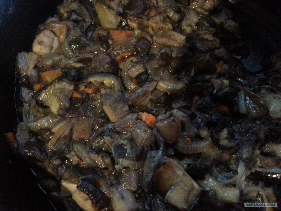 Волнушки грузди соленые