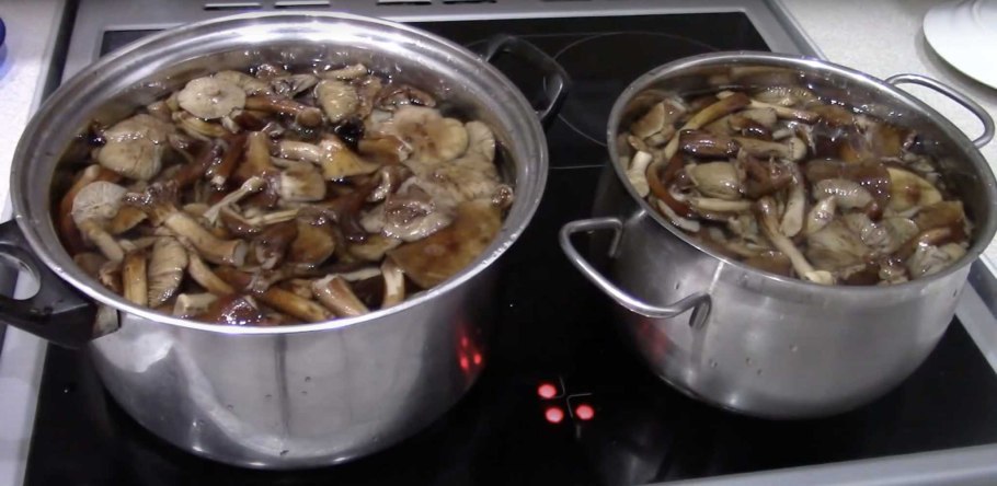 Синяя луковица при варке грибов