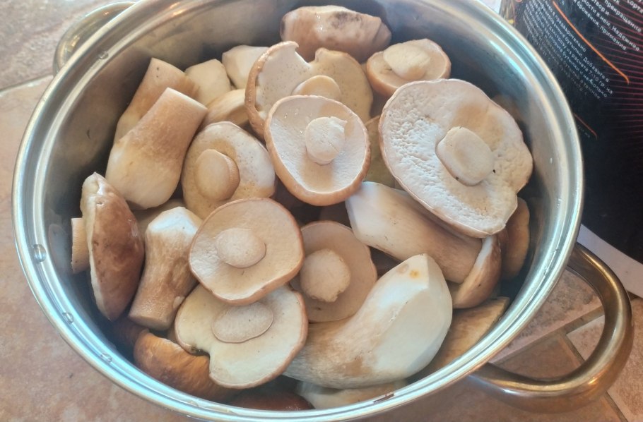 Грибное сафари