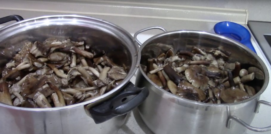 Соленнве грибы профиль Инстаграмм