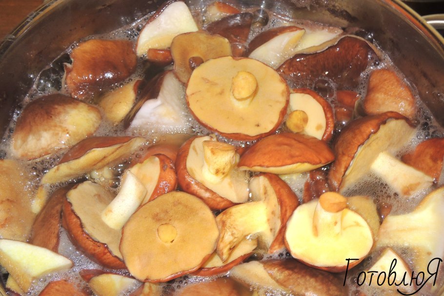 Вареные сыроежки