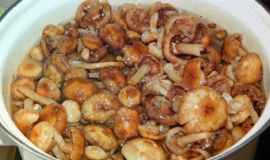 Грибы грузди маринованные