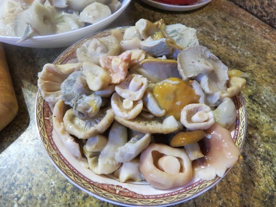 Вареные белые грибы