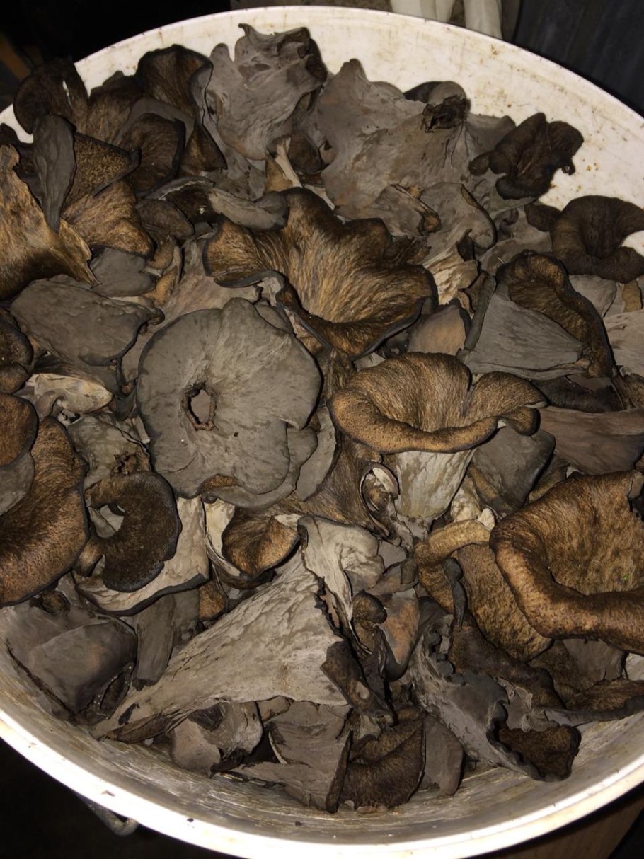 Сваренные грибы шампиньоны