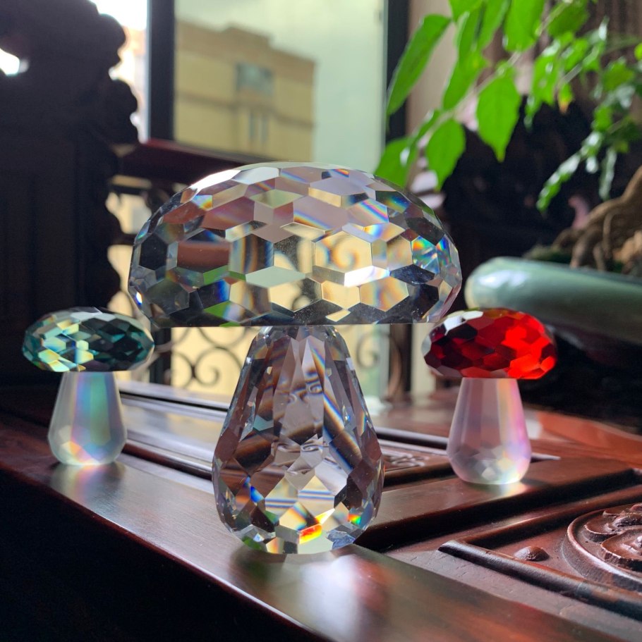 Дрожалка оранжевая гриб