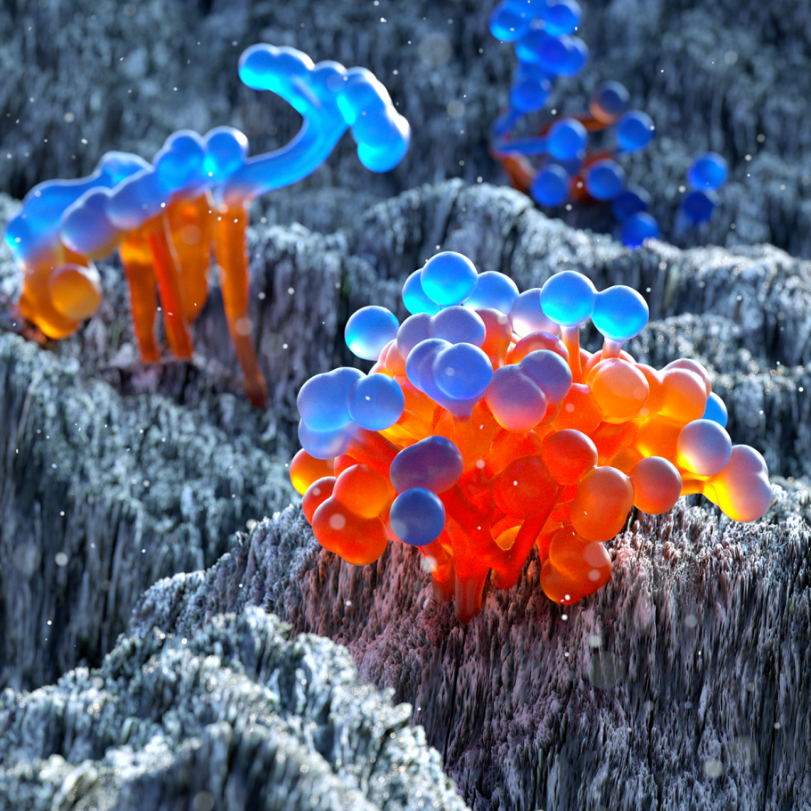 Грибы наркомания