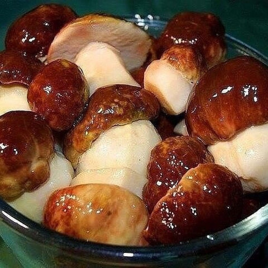 Маринованные белые грибы