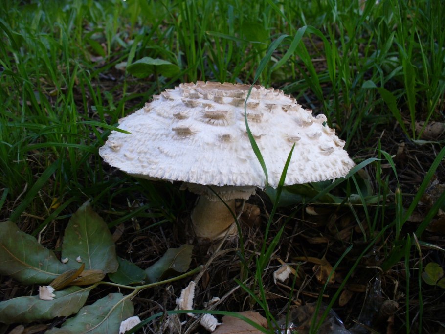 Тихая охота фотоконкурс