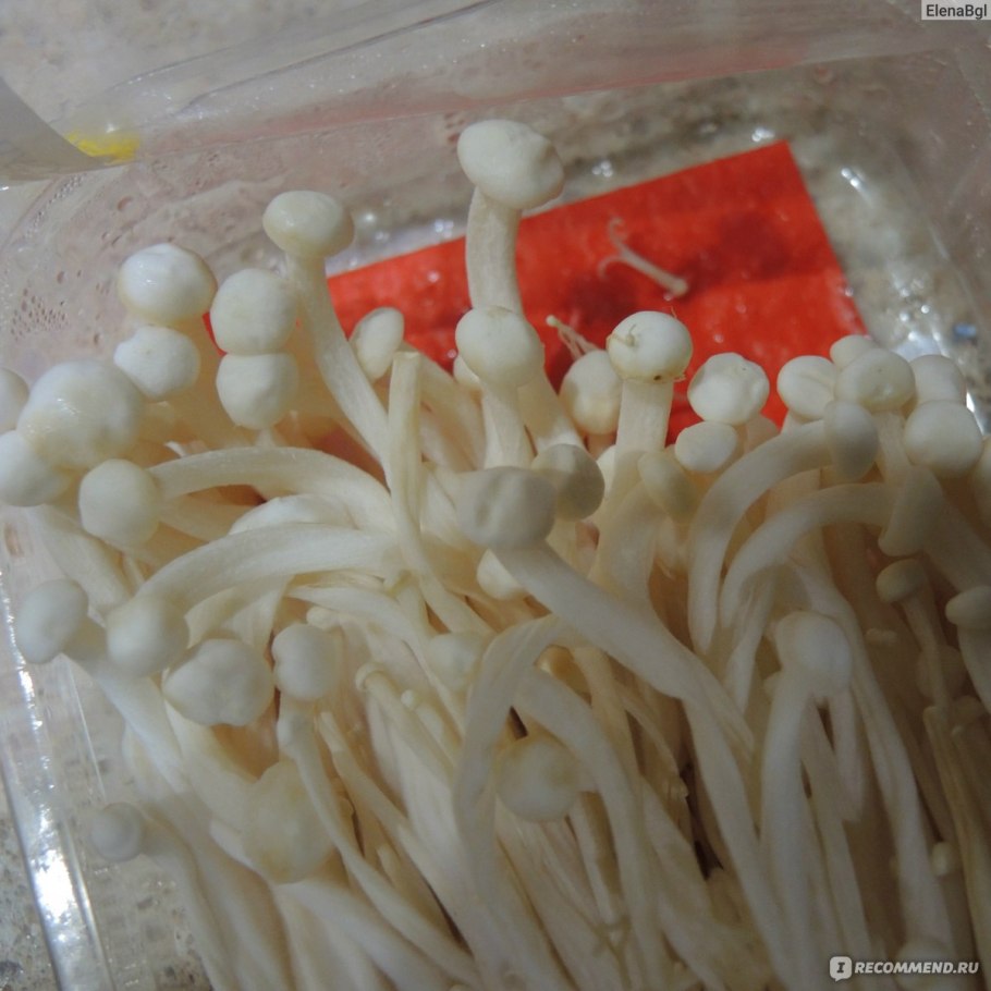 Грибы золотые нити (еноки/Эноки)