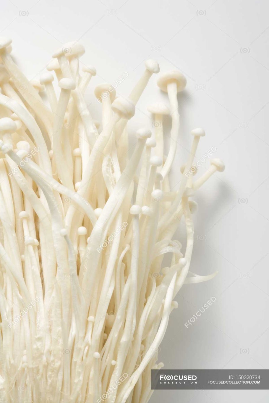 Грибы длинные тонкие