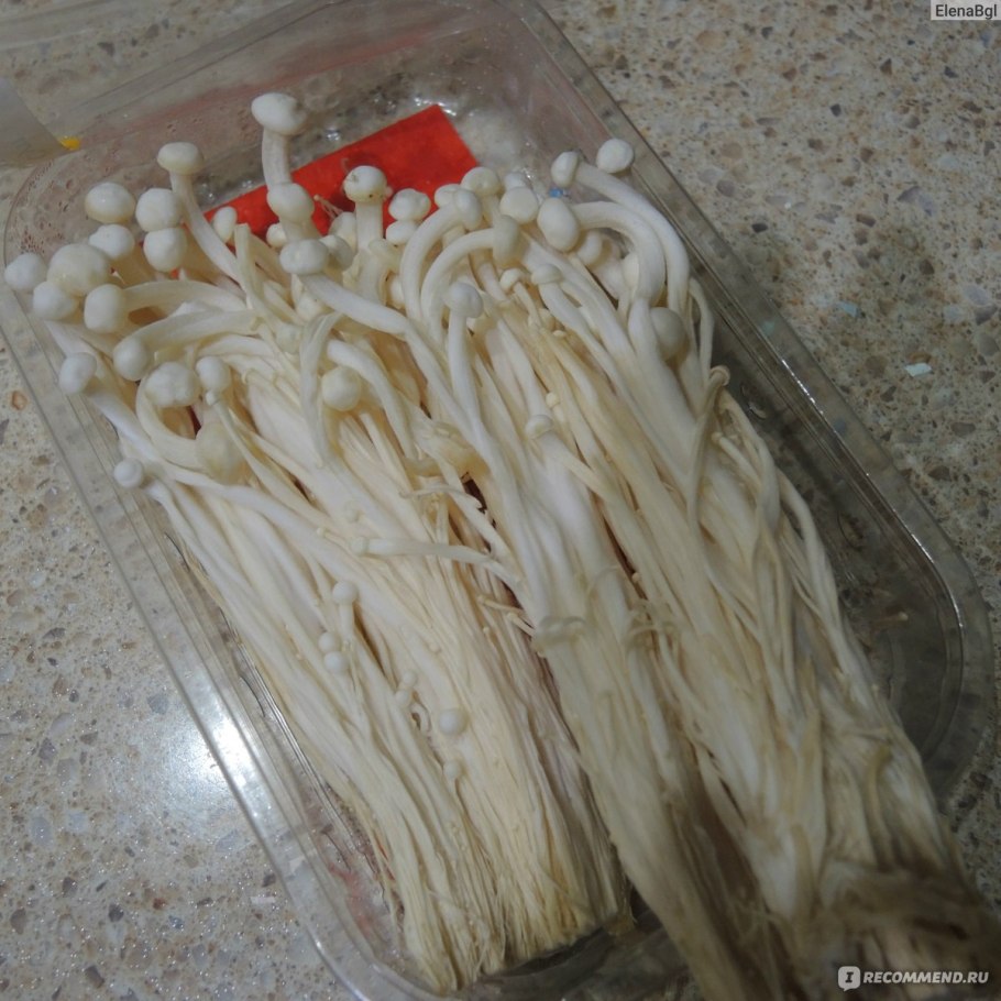 Золотой Эноки гриб