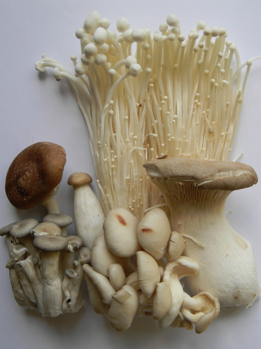 Корейские грибы Эноки