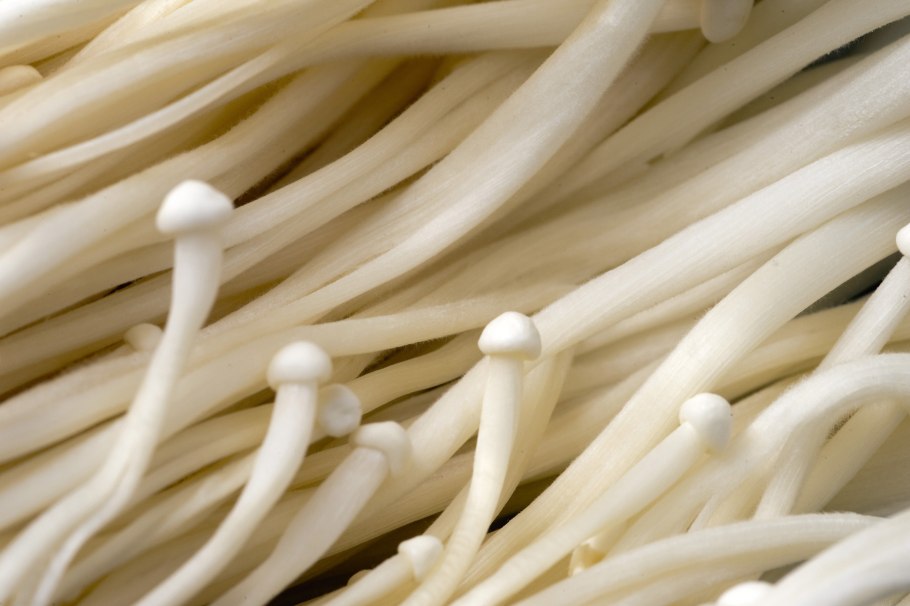 Иноки Машрум