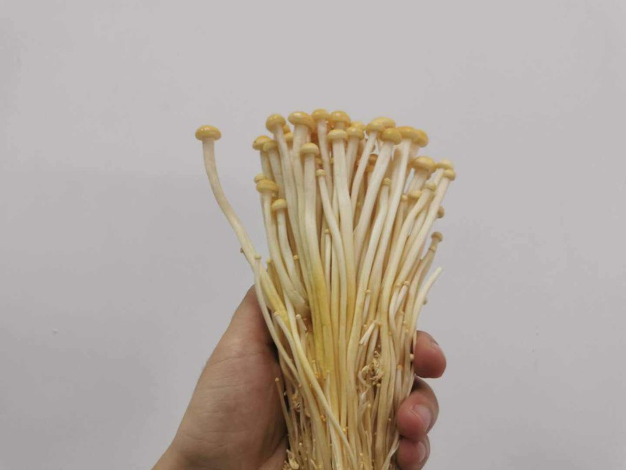 Корейские грибы Эноки