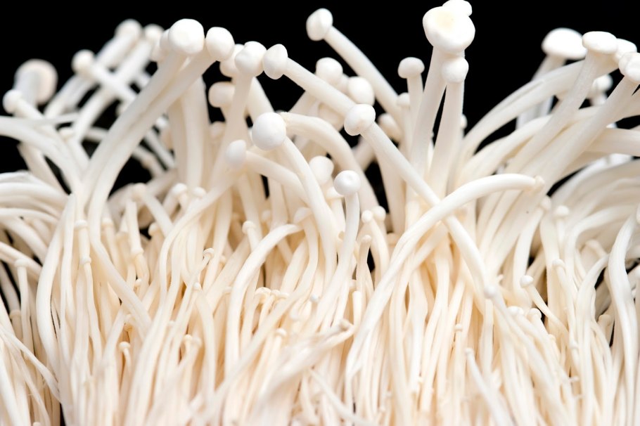 Корейские грибы Эноки