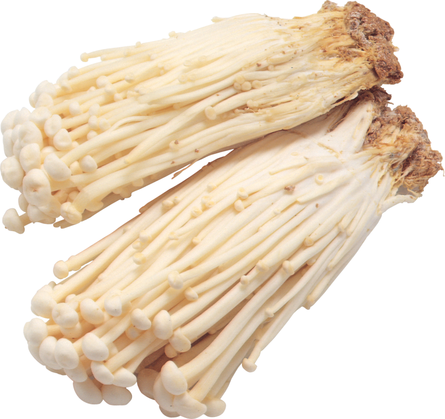 Экстракт гриба энокитаке