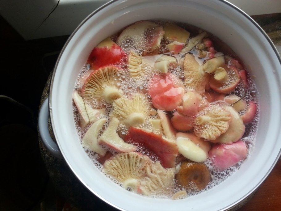 Сыроежки грибы приготовление жарка