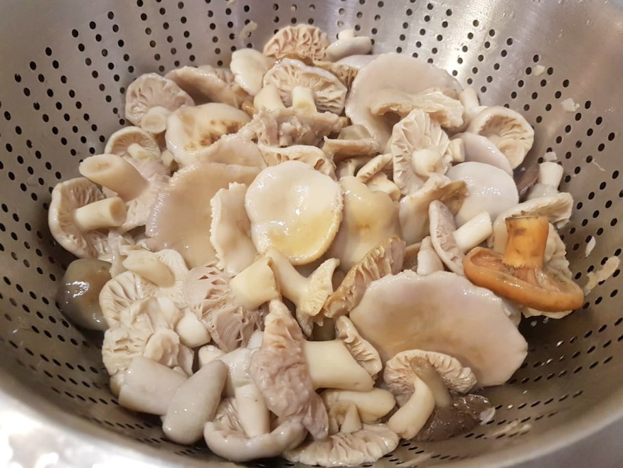 33 Сыроежка ломкая категория