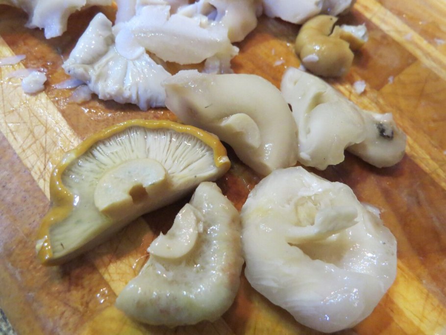 Природные объекты ( растения, грибы ,животные) Карелии