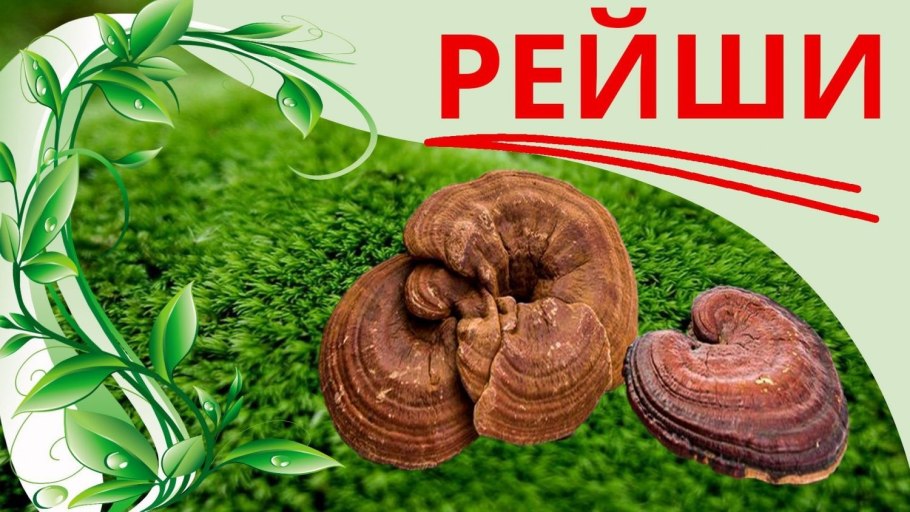 Голден рейши