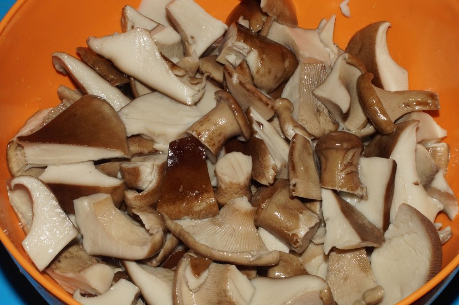 Грибы шиитаке и рейши