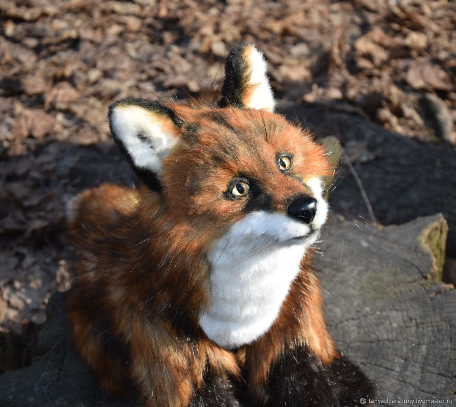 Лиса Фыр Фыр