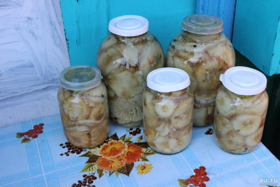 Белая волнушка и белый груздь