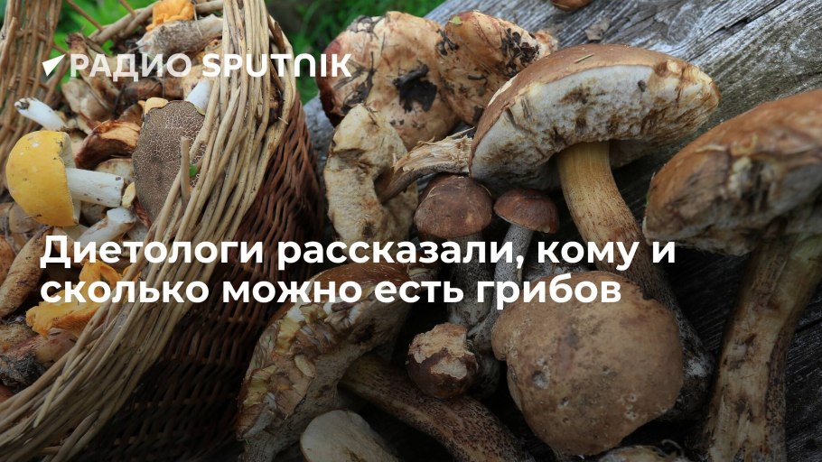 Грибы в саду весной