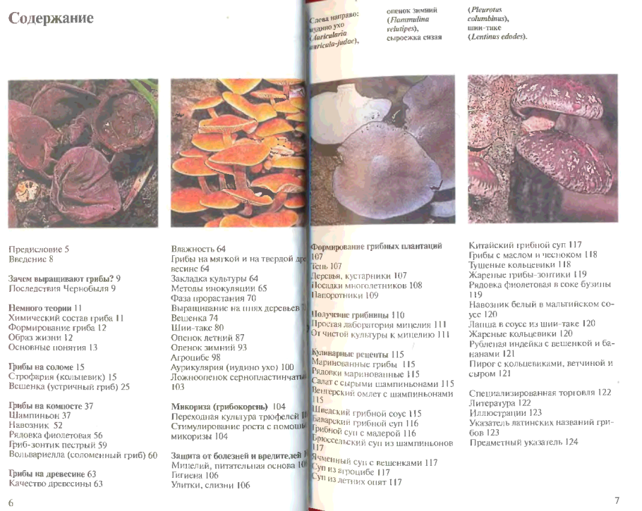 Книга грибы у дома