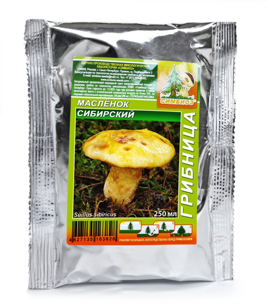 Биология 6 класс учебник Пасечник читать онлайн