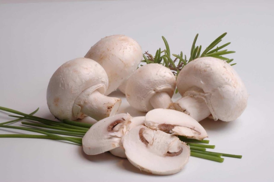 Шампиньоны 500