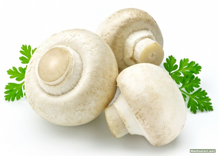 Обработанные грибы