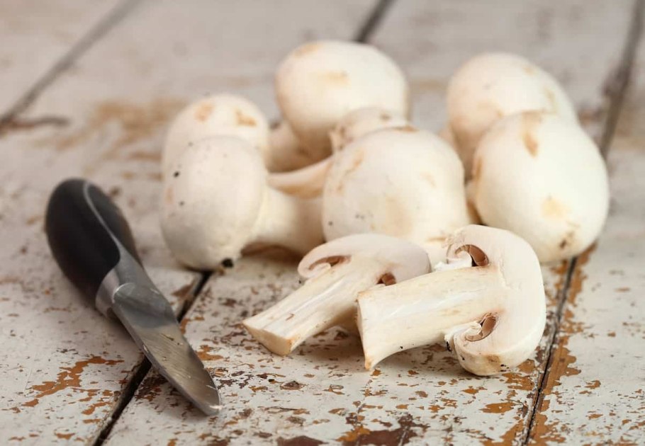 Лечебный гриб шампиньоны