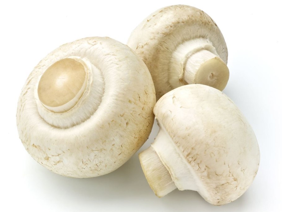 Шампиньоны сырые