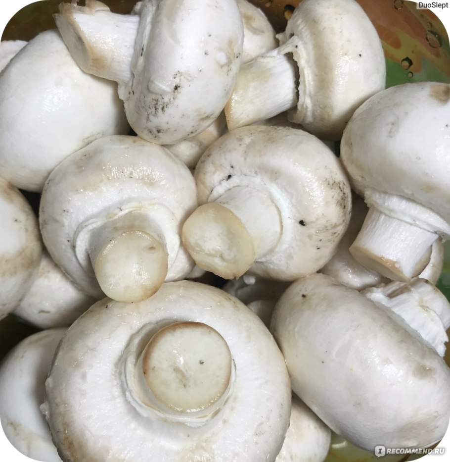 Сырые грибы шампиньоны