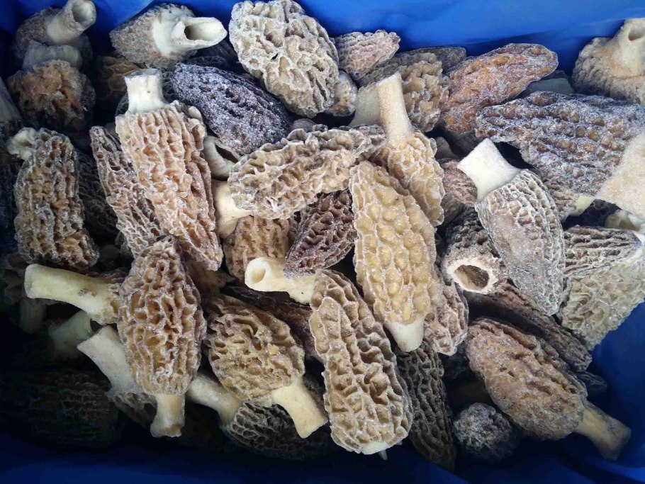 Гребешки черные по-корейски