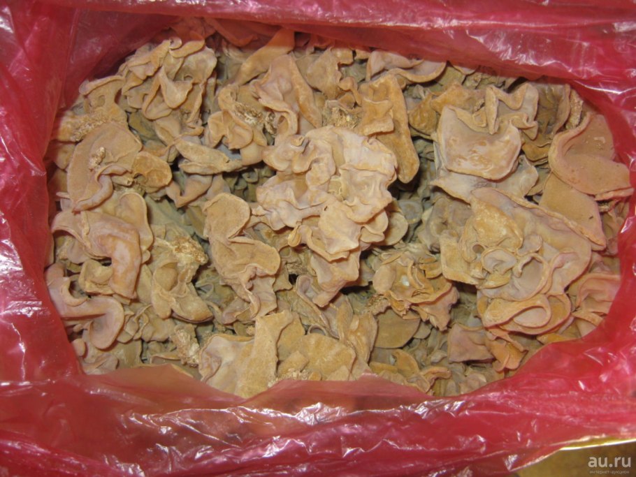 Древесный гриб китайский белый