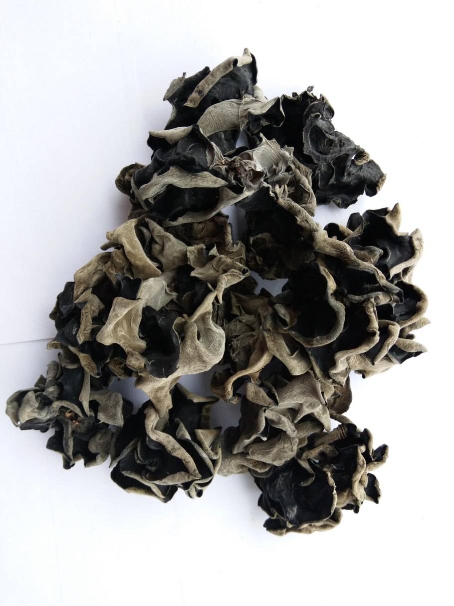 Древесный гриб муэр