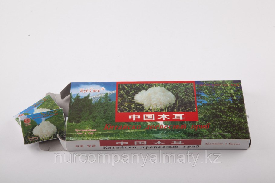 Белый древесный гриб прессованный